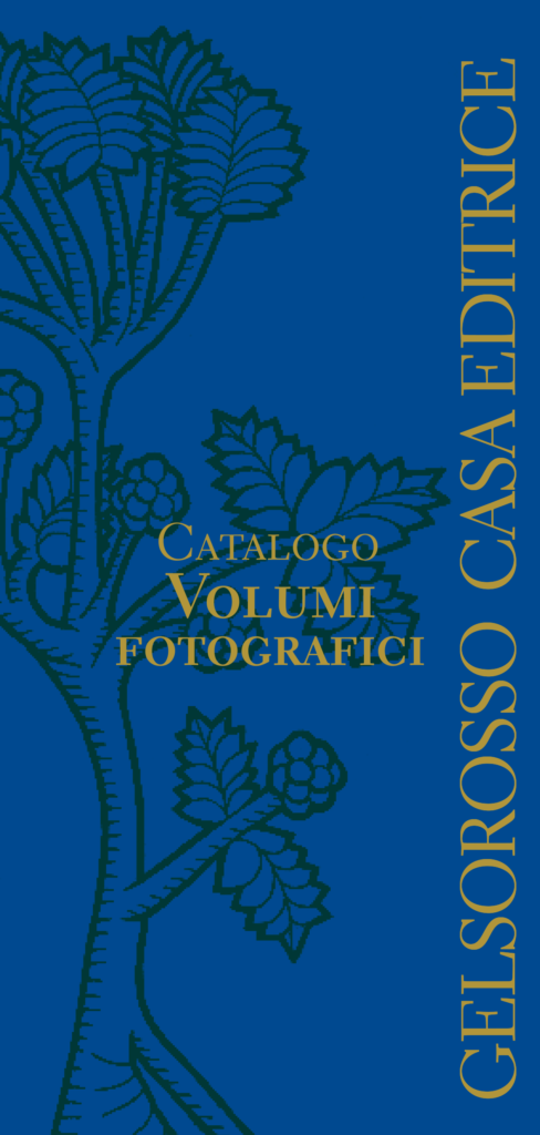 CATALOGO NARRATIVA