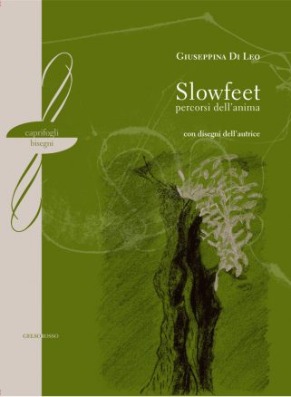 Slowfeet percorsi dell’anima